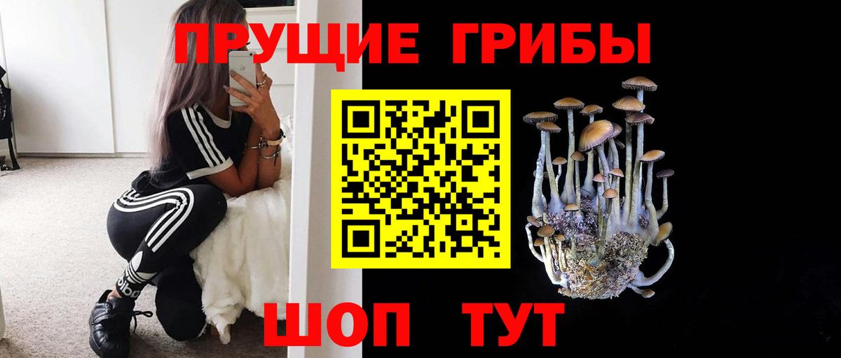 Псилоцибиновые грибы Psilocybe  Галлюциногенные грибы Psilocybe  Минеральные Воды  Вход с VPN 