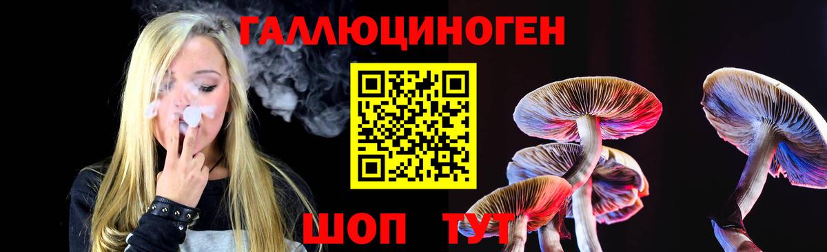 Галлюциногенные грибы Psilocybine cubensis Минеральные Воды